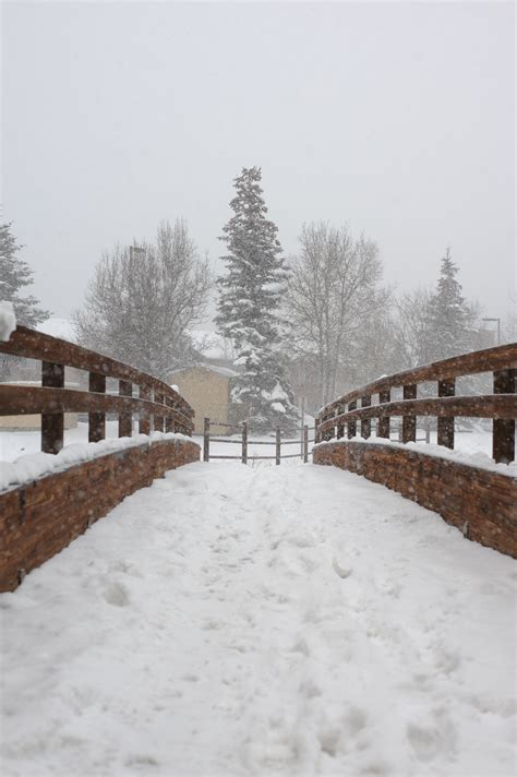 Photo of a Bridge in Winter · Free Stock Photo