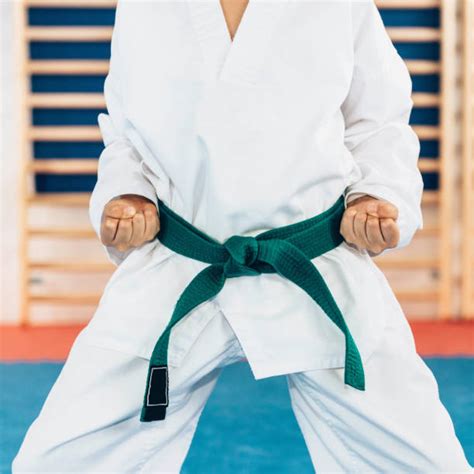 Karate Green Belt Stock Photos, Pictures & Royalty-Free Images - iStock