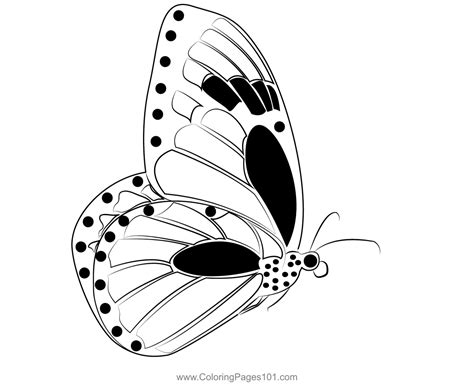 Monarch Butterflies Flying Coloring Page for Kids - Free Butterflies ...