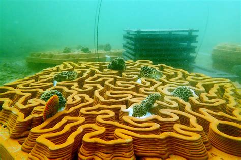 Gallery of Rethinking Artificial Reef Structures through 3D Clay ...