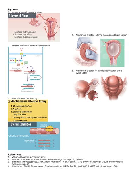 Uterine Atony – 21st Century Medical Education