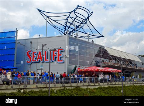 Sea life / Oberhausen Stock Photo - Alamy