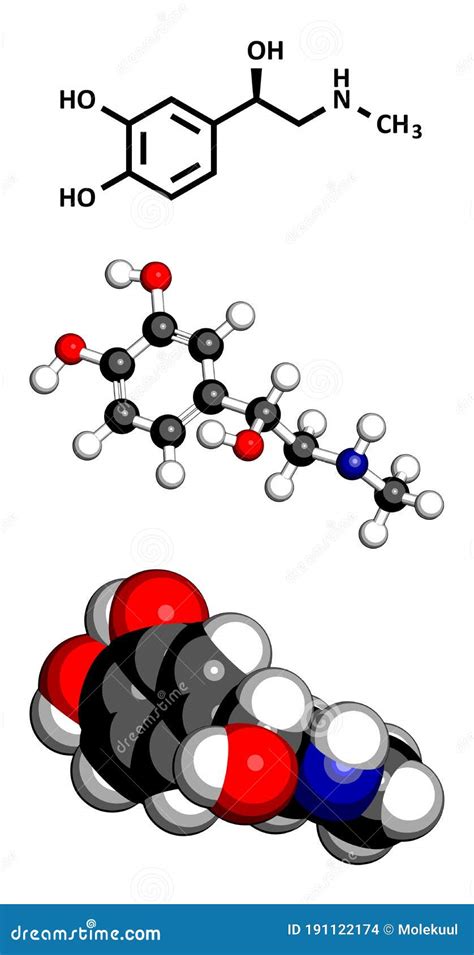 Adrenaline Or Epinephrine Hormone Chemical Structure. Epinephrine Is Normally Produced By Both ...