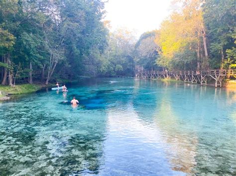 10 Natural Springs Near Tampa You Must Visit - Florida Trippers