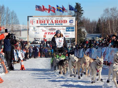 Iditarod Sled Dog Race | Alaska Private Tour | Race Starts, Banquet, Festivals