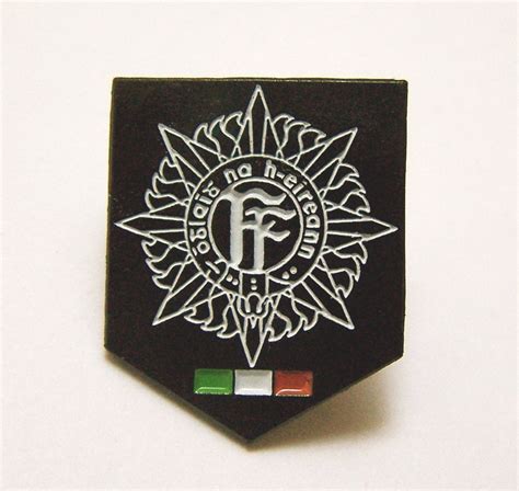 Irish Army Oglaigh na h Eireann Badge Defence Forces Ireland with pin ...