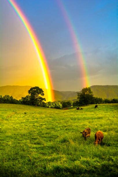 Pelangi Ganda Foto Foto Foto Stok, Potret & Gambar Bebas Royalti - iStock