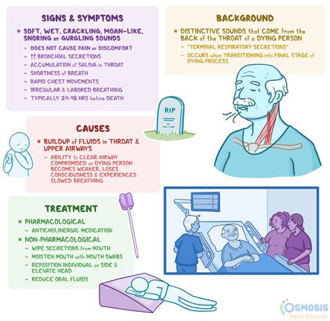 Death Rattle: What It Is, Causes, Treatment, and More | Osmosis