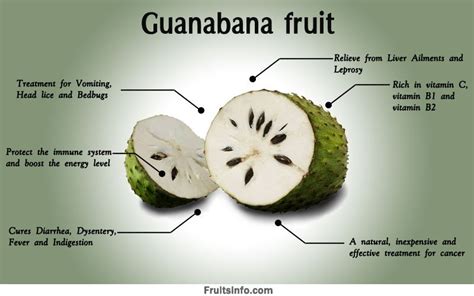 Guanabana fruit | Nutrition facts-Guanabana fruit | Health benefits