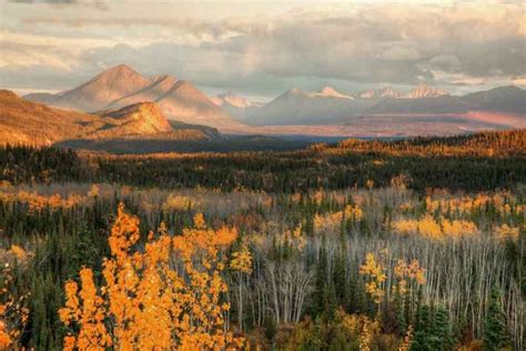 The Ultimate Guide to Denali National Park Camping - Beyond The Tent