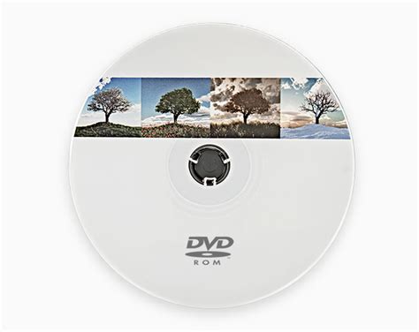 DVD-Rom