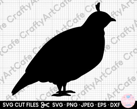 Quail Silhouette Svg Quail Silhouette Png Quail Cut File for Cricut - Etsy UK