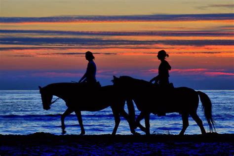 Beach Horseback Riding Virginia