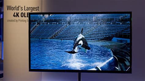 Eyes on: Sony and Panasonic's 56-inch 4K Ultra HD OLED TVs | TechRadar