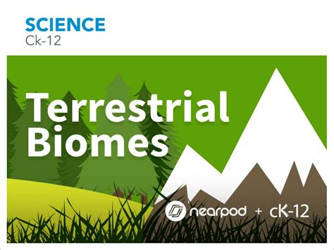 Terrestrial Biomes