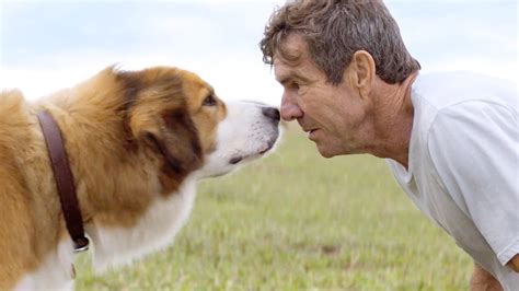 A Dog's Purpose (2017) | Fandango