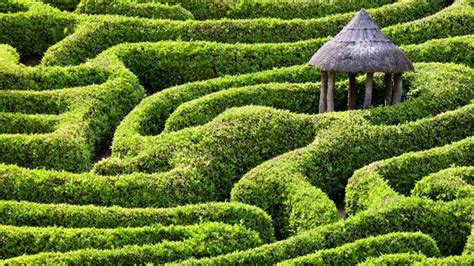 Longleat Hedge Maze – Interesting Challenge For Tourists - YouTube