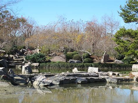 Image: Japanese Garden, Hermann Park, Houston, January 2012