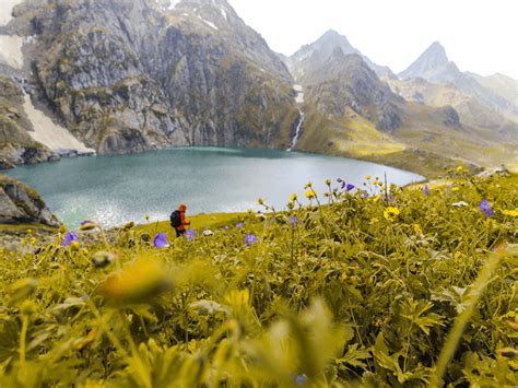 THINGS TO KNOW ABOUT VALLEY OF FLOWERS TREK | The Valley of Flowers