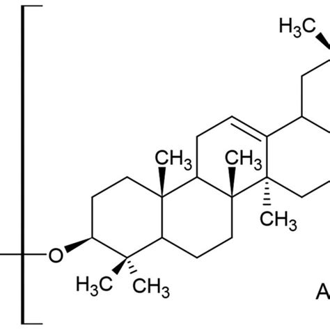 A Review on Saponin Biosynthesis and its Transcriptomic Resources in ...