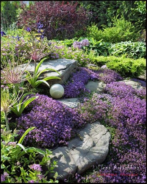 1000+ images about Rock Gardens & Ground Covers on Pinterest | Gardens, Sun and Succulent rock ...