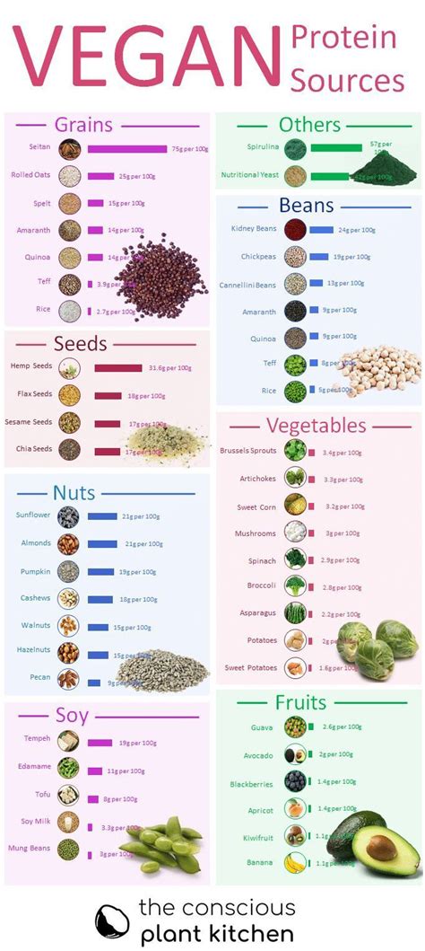 Vegetarian Protein Sources Low Carb ; Vegetarian Protein Sources | Vegan protein sources ...