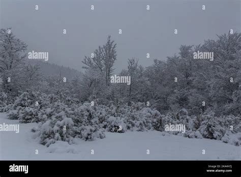 A scenery of Vassieux en Vercors in France in winter Stock Photo - Alamy