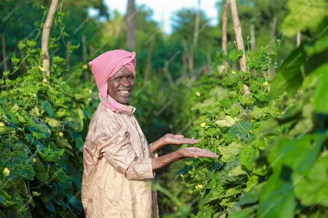 Premium Photo | Indian farming happy indian farmer standing in farm ...