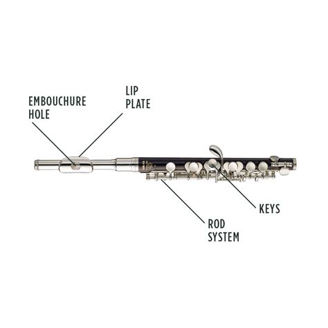 Piccolo Instrument Parts