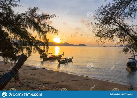 Aerial View Sunrise Above Pine Tree Stock Photo - Image of aerial, cloud: 156614016