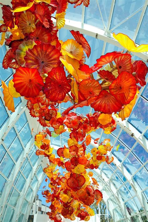 Beautiful Glass Sculpture Garden By Artist Dale Chihuly – Vuing.com