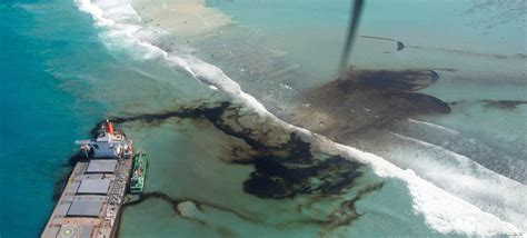 The French are using hair clippings to mop up ocean pollution | World ...