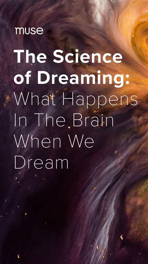 The Science of Dreams: What Happens In The Brain When We Dream in 2021 ...