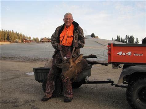 Spike Bull Elk at Pap's Cabin - Ford Truck Enthusiasts Forums