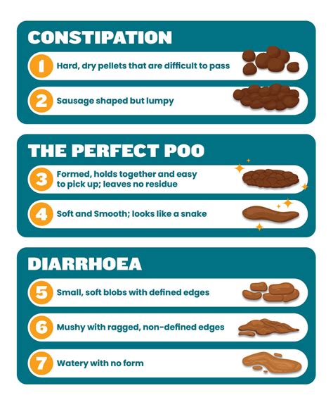 Vet Approved Cat Stool Chart: Decoding Your Cat's Poop, 41% OFF