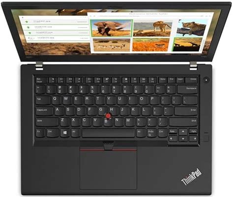 Clearance Loaded Windows 11 Pro Laptop Lenovo ThinkPad T480 14'' 16Gb ...