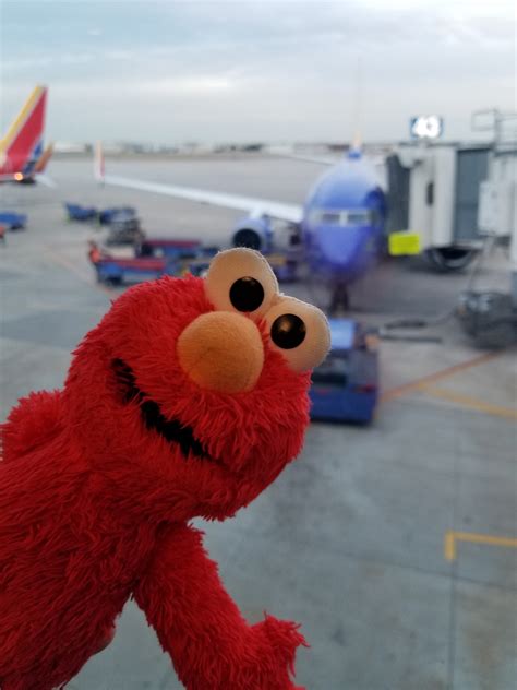 Elmo visits Houston, Texas – Iva Grace