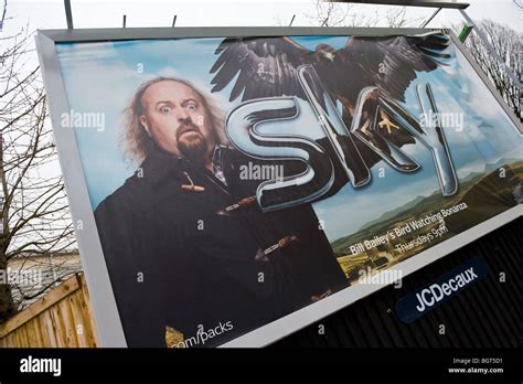 Advert for SKY TV programme featuring Bill Bailey on JCDecaux billboard ...