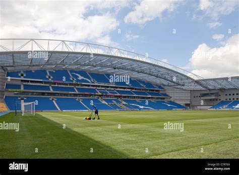 14+ Brighton Stadium Gif