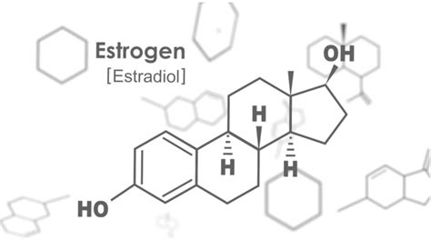 Xenoestrogens: Foreign Hormones on Familiar Ground – The Pipettepen