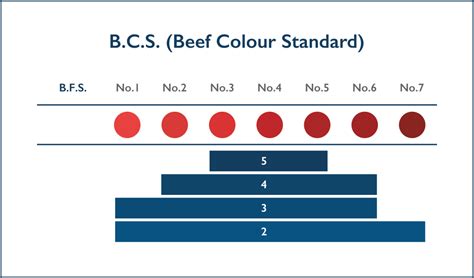 Japanese Wagyu Beef: A Grading System Guide - Farmison & Co