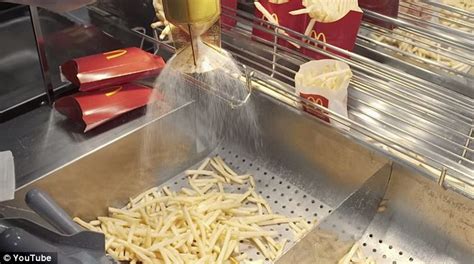 The 14 ingredients in McDonald's FRIES | Daily Mail Online