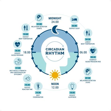 TL;DR Science: Sleep and Circadian Rhythm | SciTeens