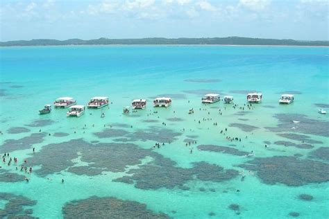 Tour a la playa de Maragogi desde Recife 2023 - Viator