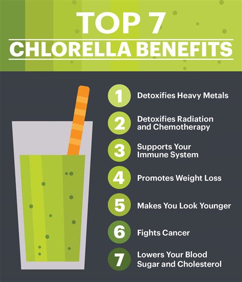 What are the benefits of the chlorella? - Industry Knowledge - Knowledge