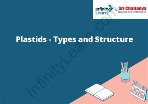 Plastids - Types and Structure - Infinity Learn by Sri Chaitanya