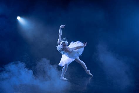 Swan Lake | Traditional Ballets at BalletMet