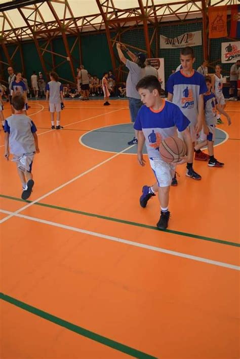 Pin by Kkbasket on Kamp Kragujevac | Basketball court, Court, Sports