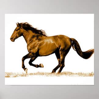 Horse Posters, Horse Prints & Horse Wall Art