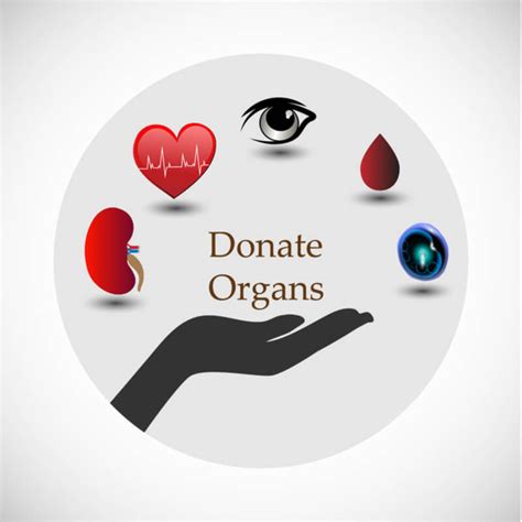 70+ Slogans on Organ Donation - Slogans Buddy